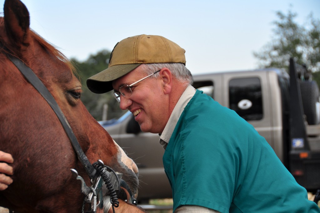 DSC_063676 Texas Equine Dentistry Blog Texas Equine Dentistry Blog
