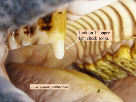 Hooks